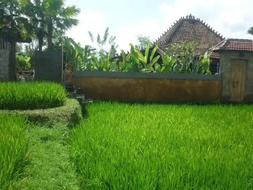 Villa Nini - photo 14