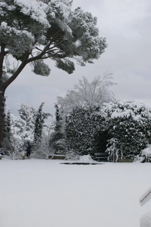 Villa Malavolta - photo 10