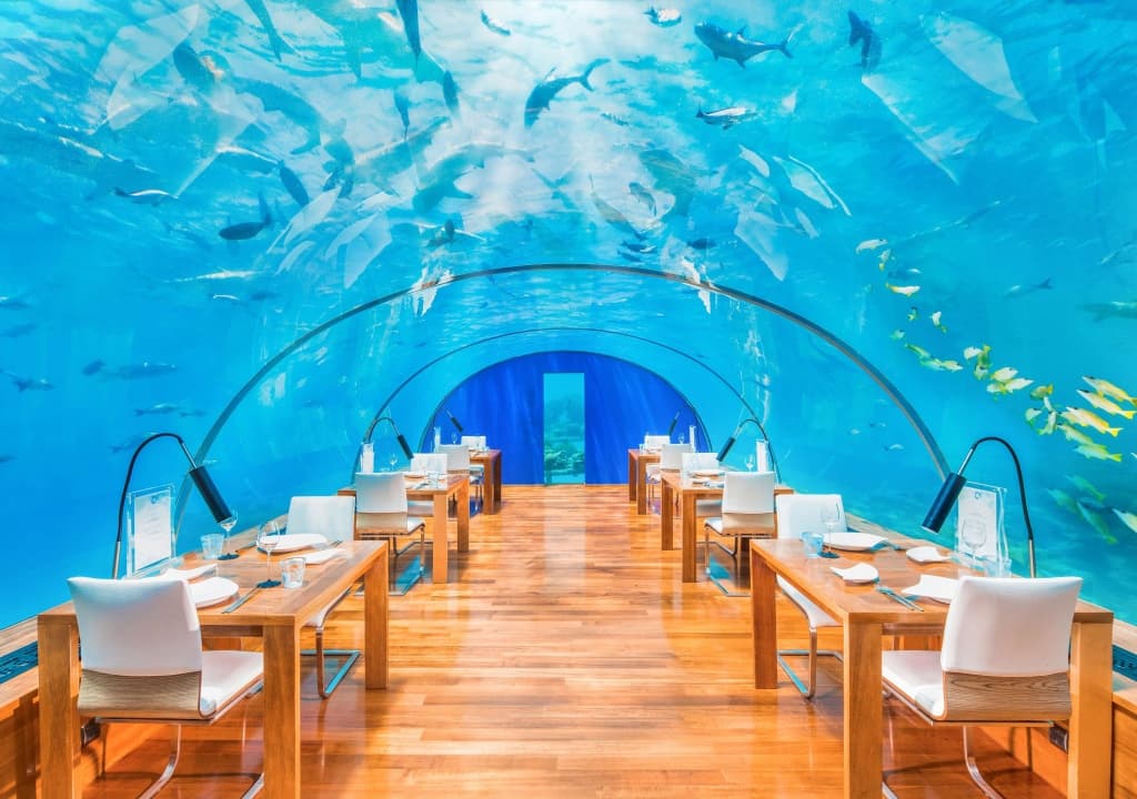 Conrad Maldives Rangali Island Resort - photo 43