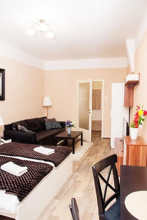 Wenceslas Square Apartment - photo 14