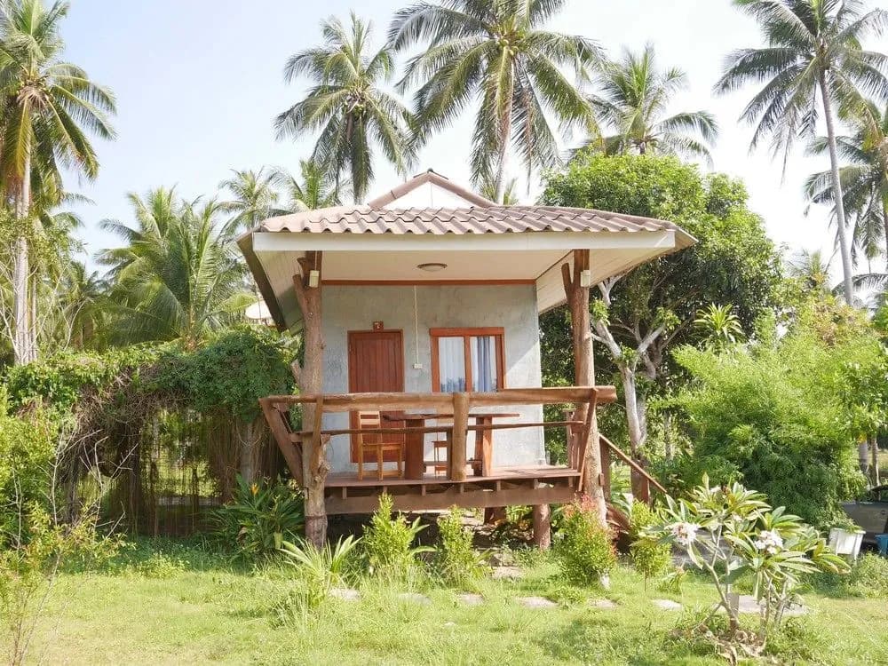 Phangan P10 - photo 7