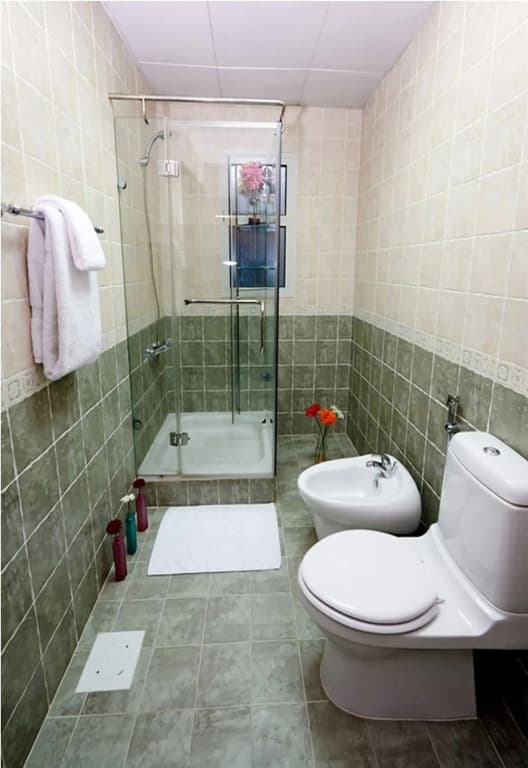 Al Safa Royal Suites - photo 10