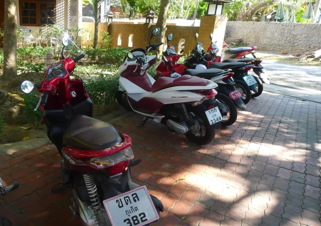 Garden Home Kata - photo 19