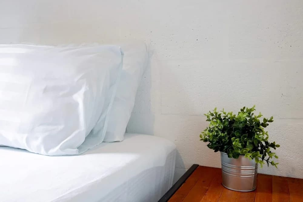 239 Hostel Phuket - photo 3