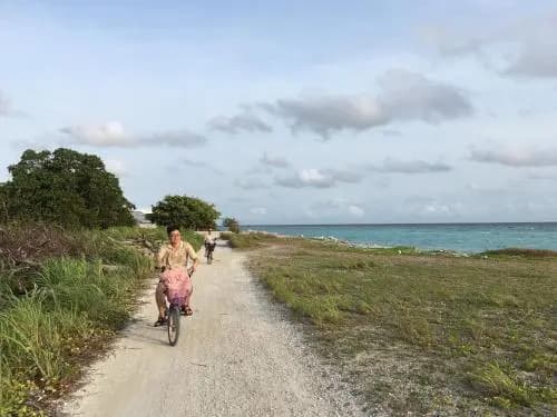 Island Host - photo 18