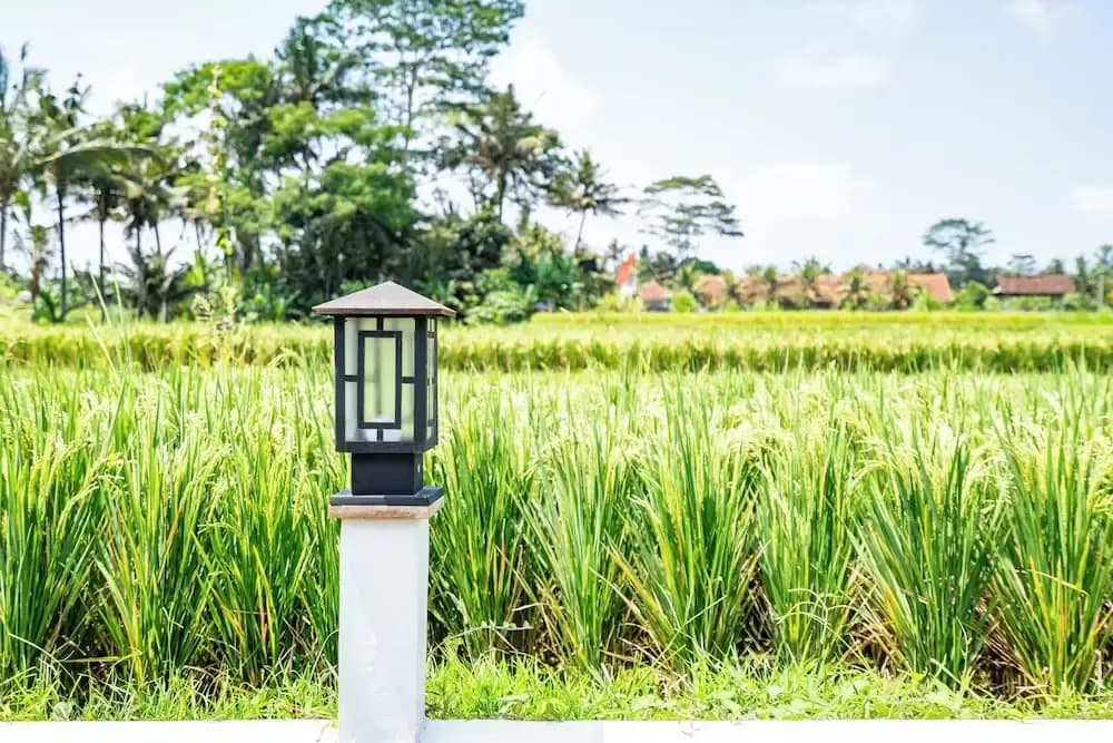 Aura Apartments Ubud - photo 12