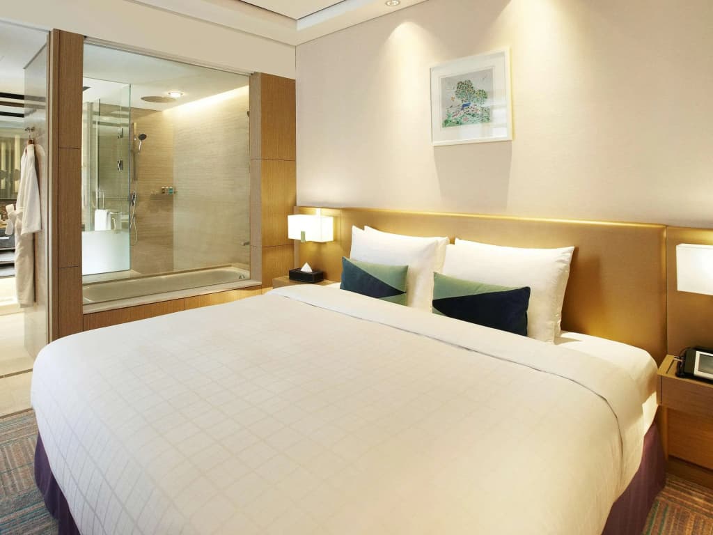 Novotel Ambassador Seoul Gangnam - photo 33