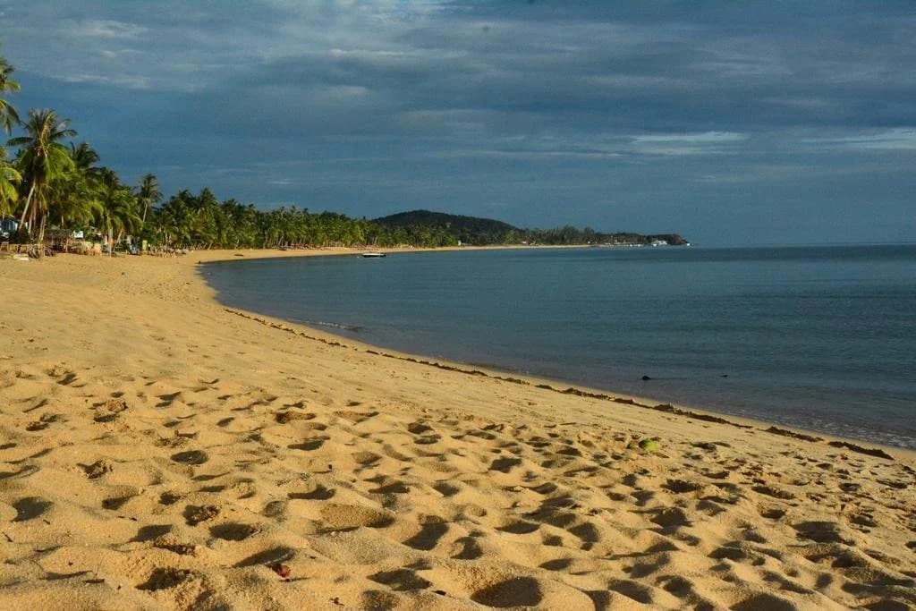 Beachway - photo 14