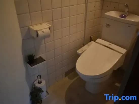 Guesthouse Rikyu - photo 11