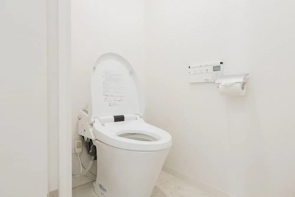 Higobashi AFP Luxury Apartment - photo 10