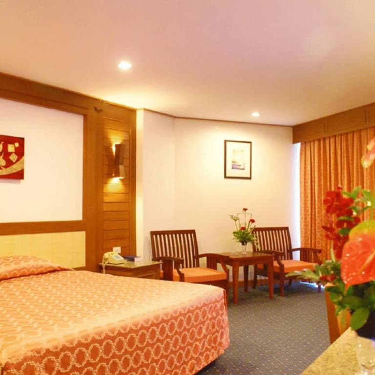 Royal Twins Palace Hotel - photo 29