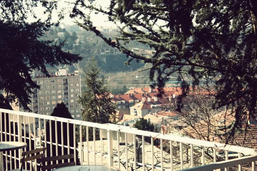 Hotel Monica - photo 12