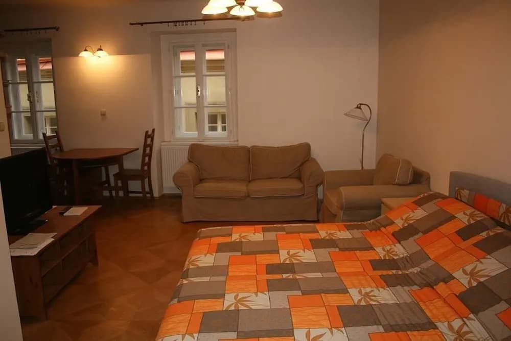Apartment Stare Mesto Anenska - photo 6