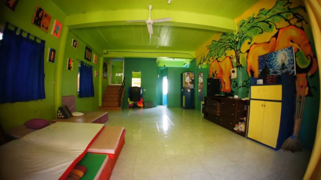 Dancing Elephant N 1 Party Hostel - photo 3