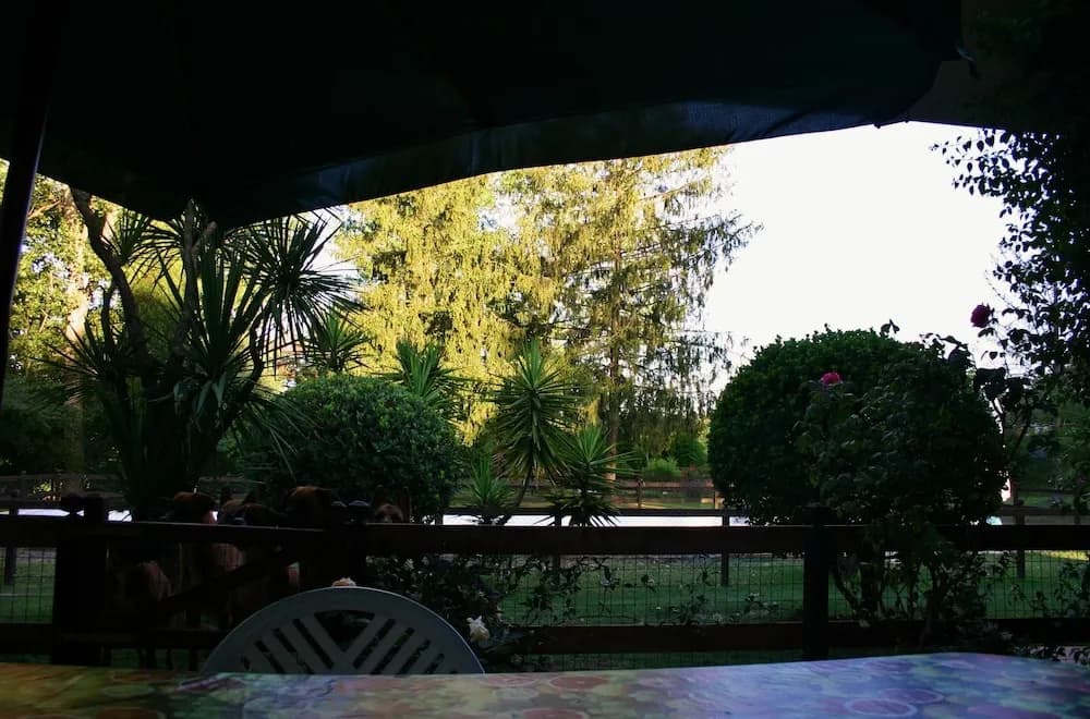 Green Oasis B&B - photo 16