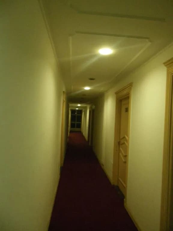 Hotel Metro Continental - photo 3