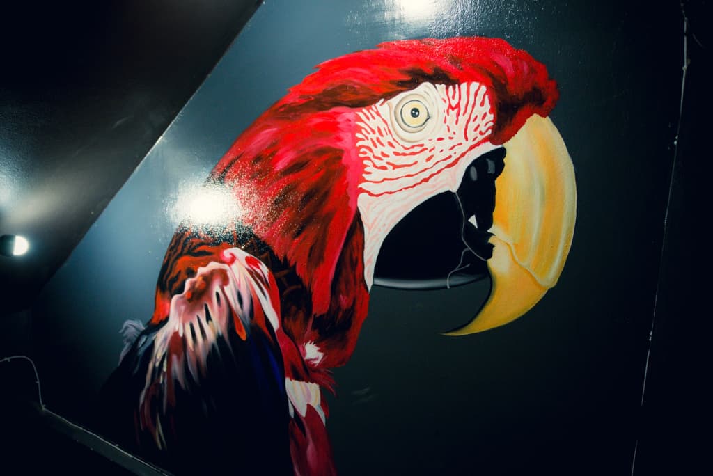 The Bird Hub Hostel - photo 13