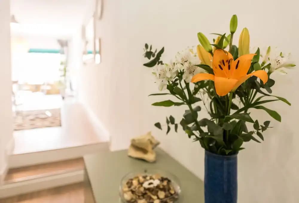Apartamento Hopkins - main photo