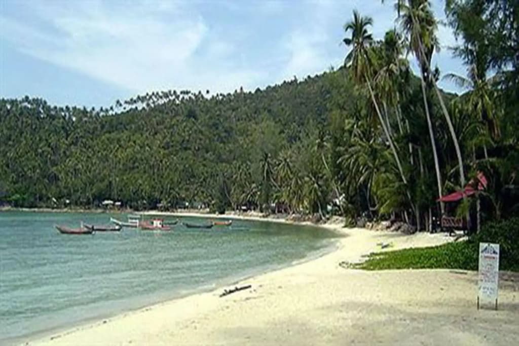 Double Duke Bungalows - photo 10