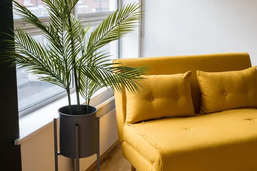 The Hoxton Apartments - photo 10