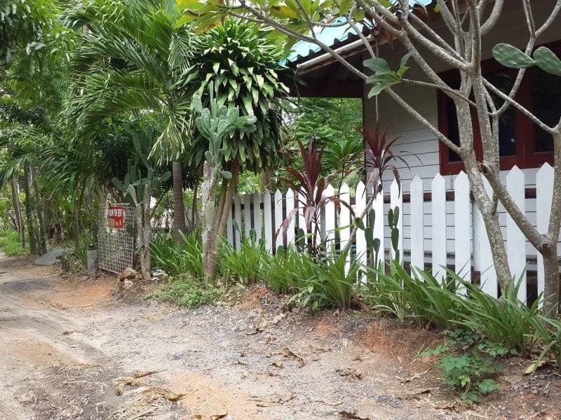 Salika Resort - photo 9