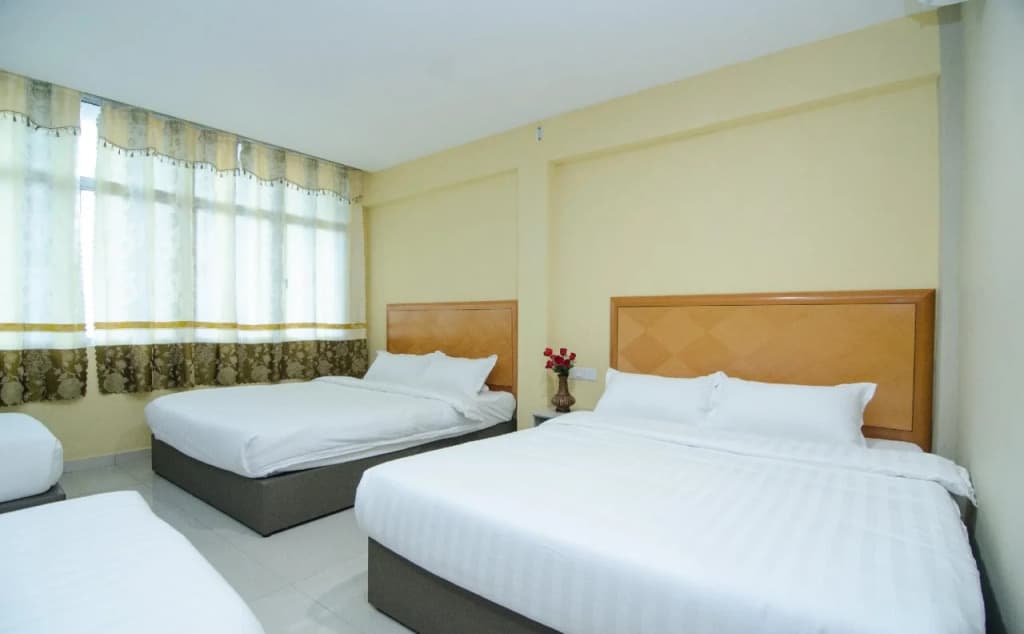 Hotel Raja Bot - photo 4