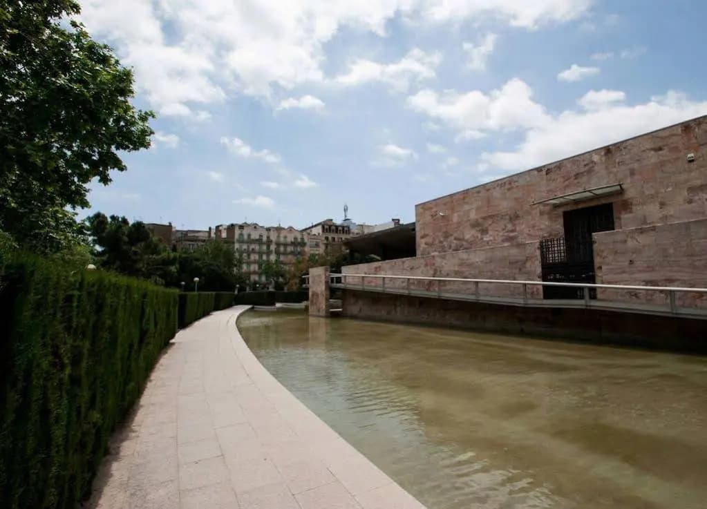 Arenas - photo 17