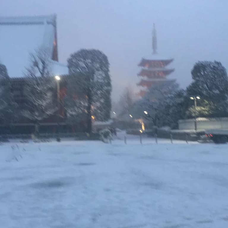 Oriental Lodge Asakusa - photo 19