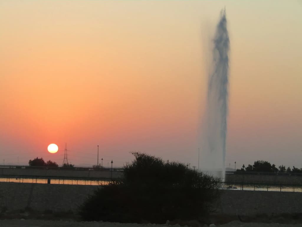 Green Mubazzarah Chalets - photo 13