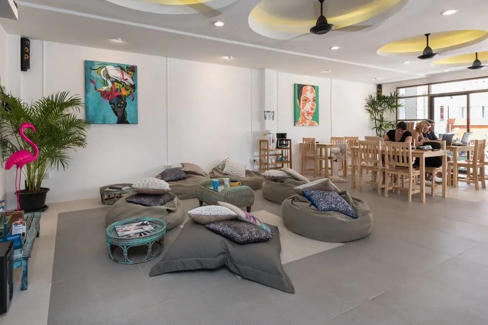 Castaway Guesthouse Hostel and Bar - photo 13