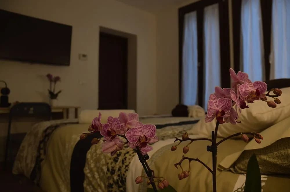Rialto Suite 707 - photo 7