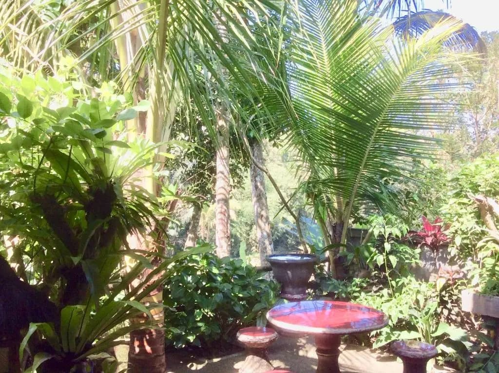 Rumah Irak et Kadek Bali - photo 6