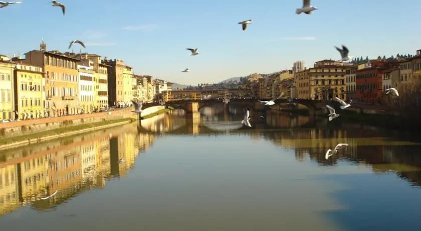Like a local in Oltrarno - photo 6