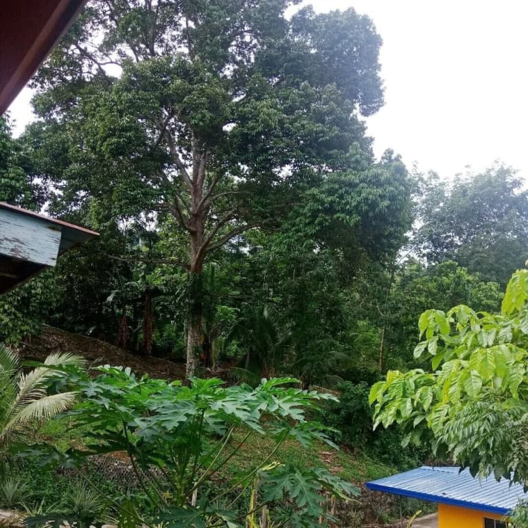 Arvad Cottage - photo 11