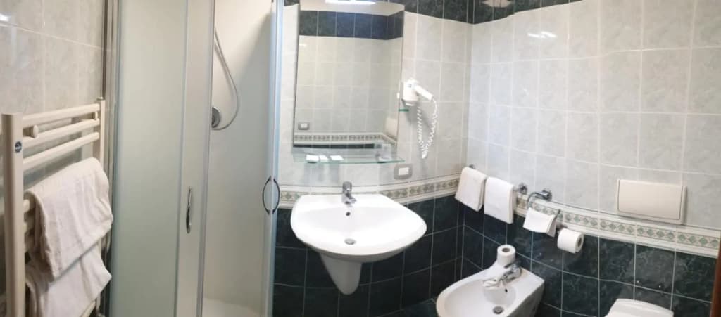 Hotel Altieri - photo 10