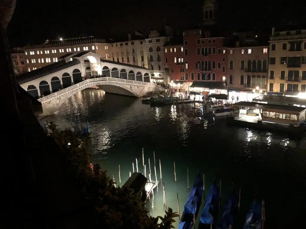 Rialto Terrace on the Grand Canal - photo 11