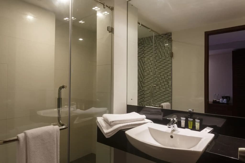 Renuka City Hotel - photo 9