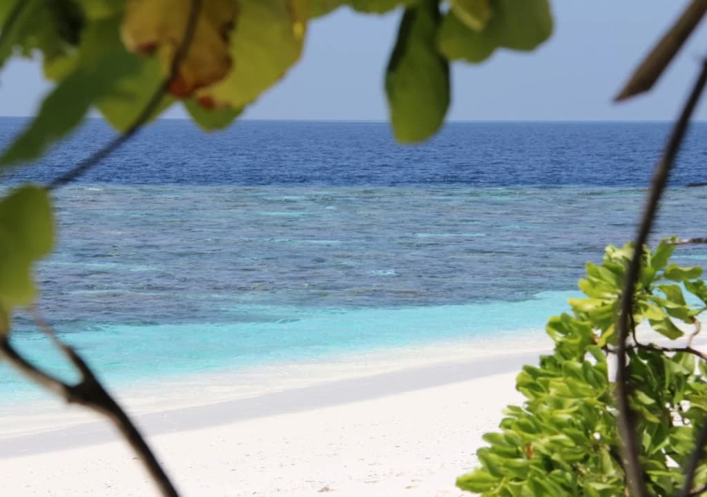 Dhivehi Experience - photo 7
