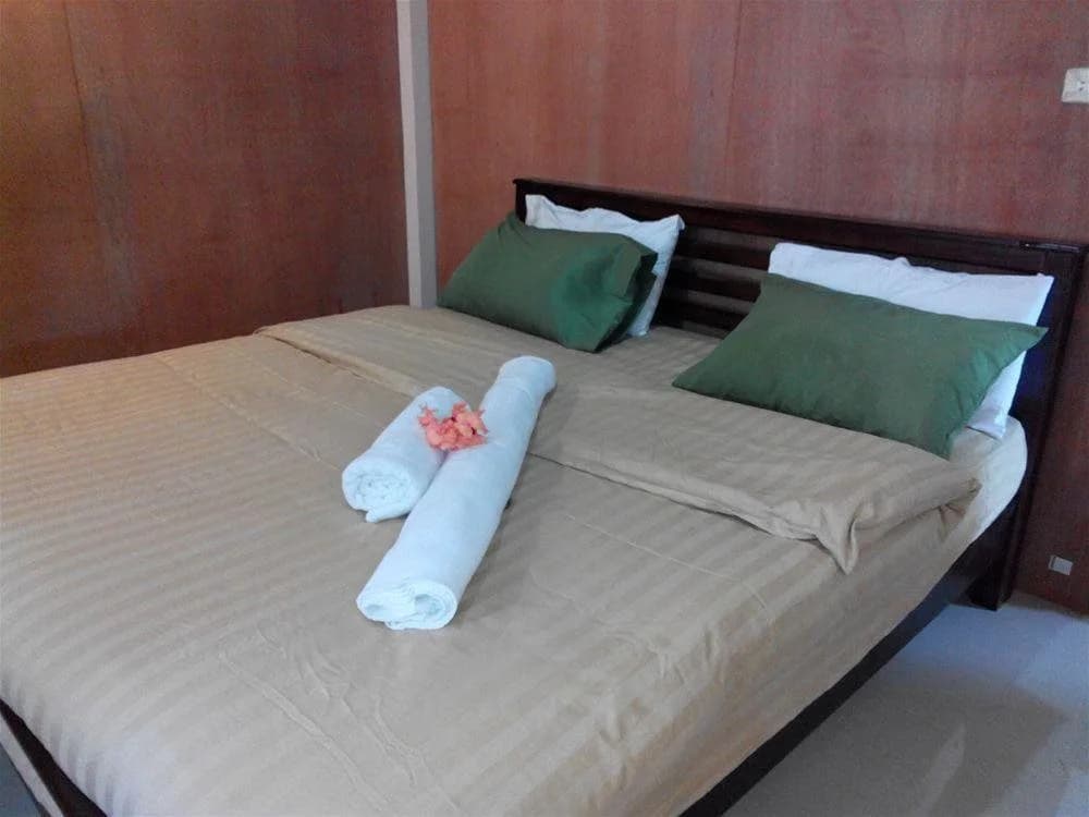 Catz Rasta Hostel - photo 3