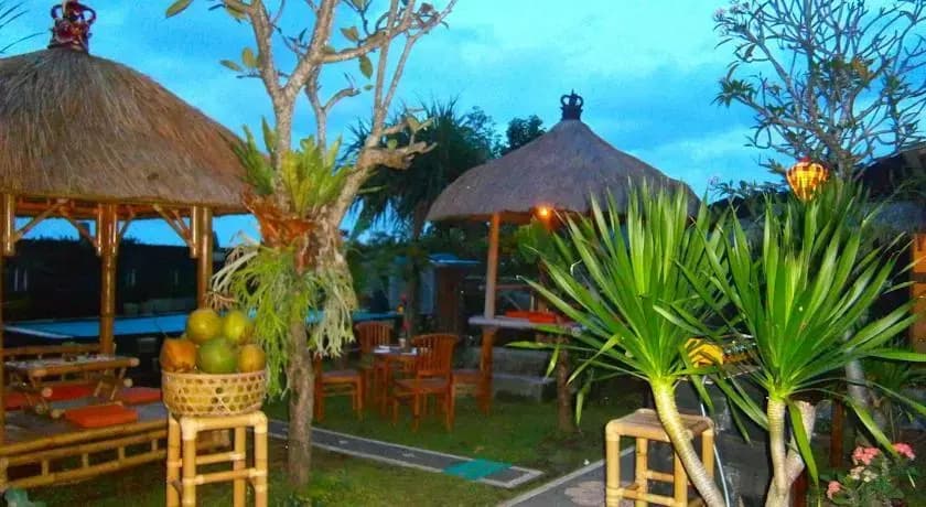 The Djoyo Bed & Breakfast - photo 8