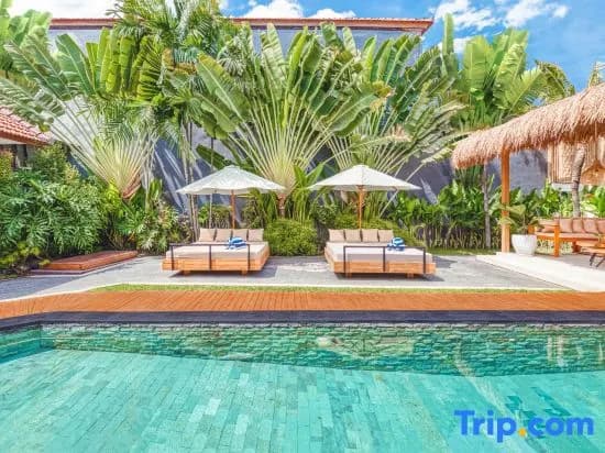 Villa Belize - Lush 4BDR villa, rooftop terrace - photo 2