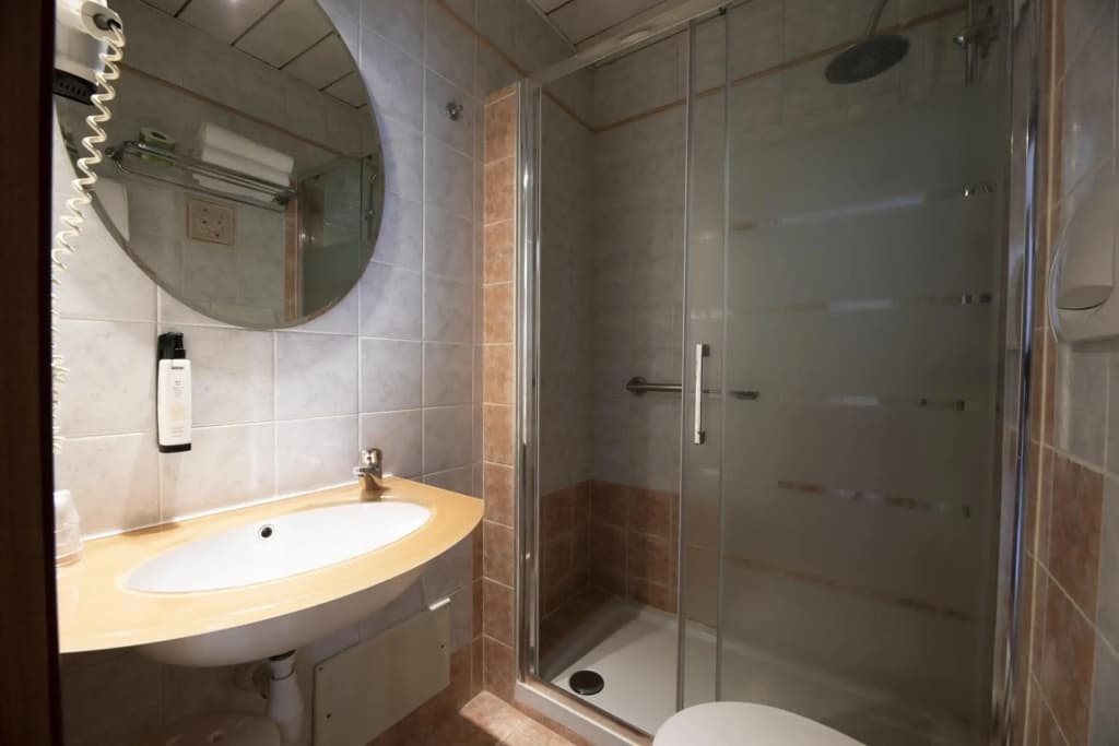 Hotel Vienna - photo 8