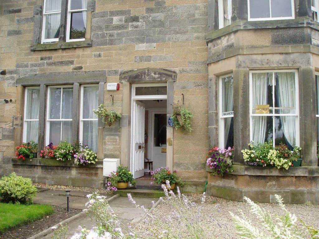 Aynetree Guest House - photo 1