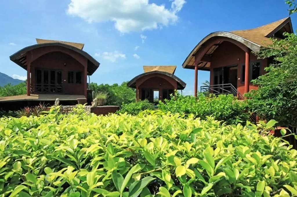 Wazzah Resort - photo 10