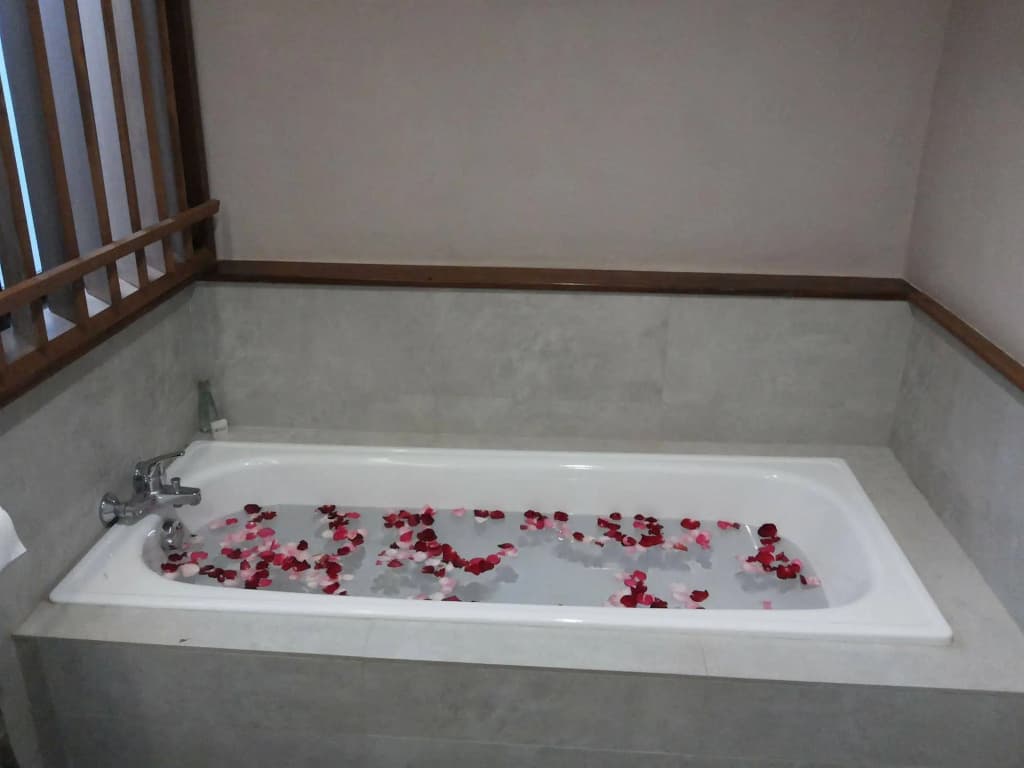 Anahata Villas & Spa Resort - photo 14