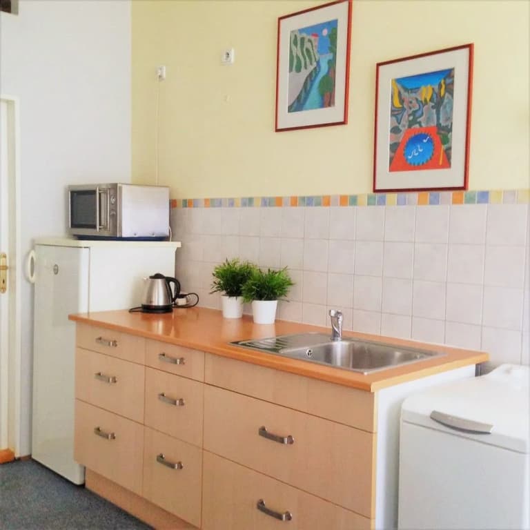 Platan pension - photo 18