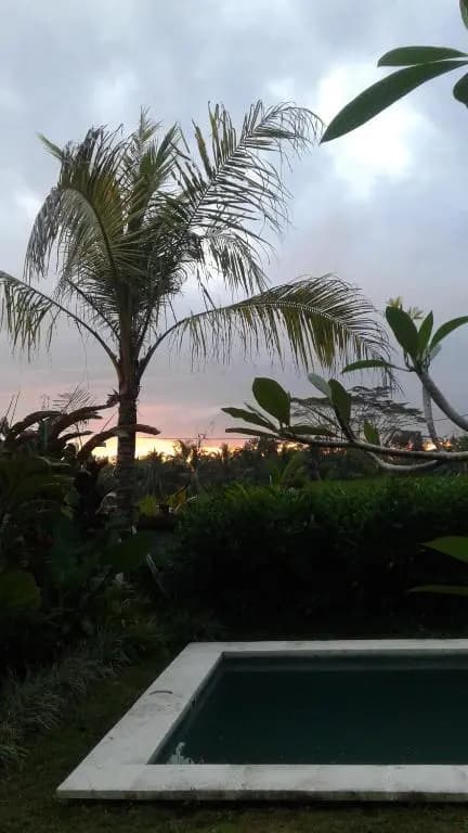 Thani Villa - photo 11