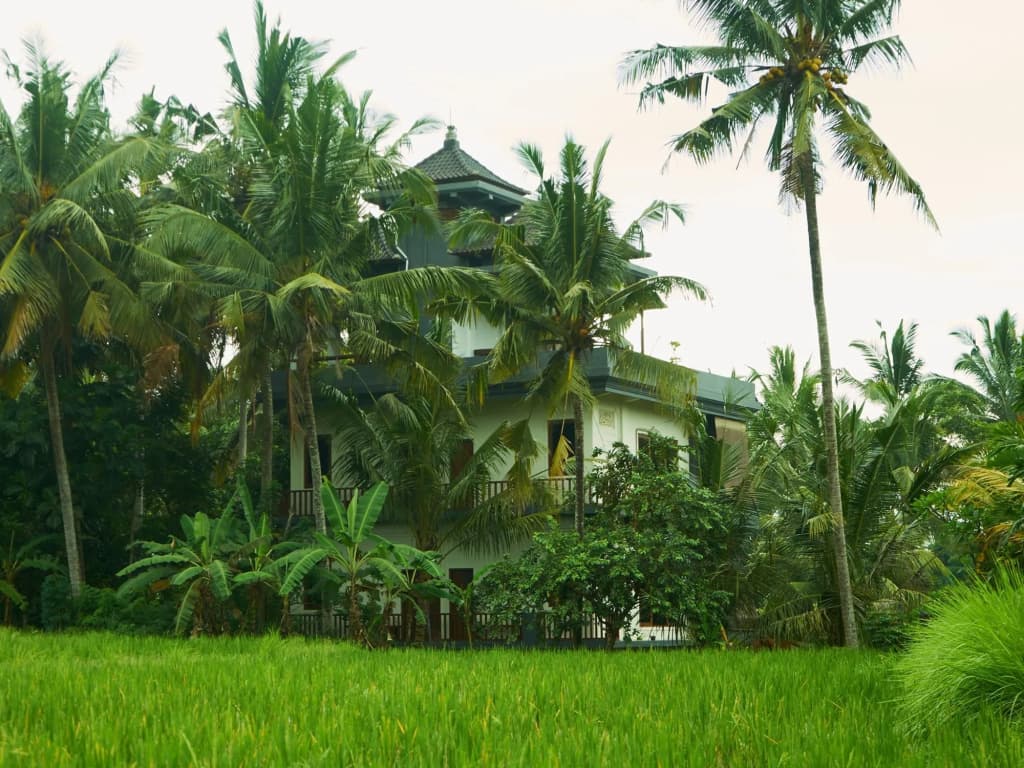 Eden House Ubud - photo 15