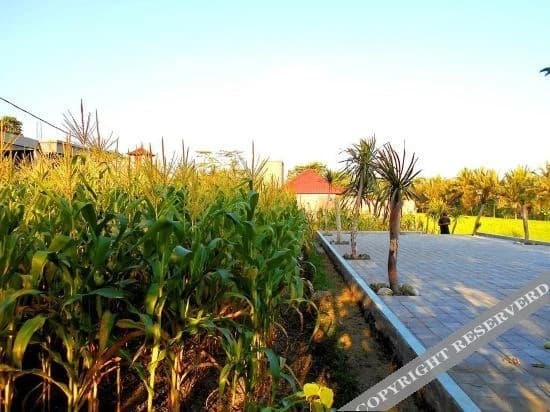 Rumah Abian Villa - photo 3