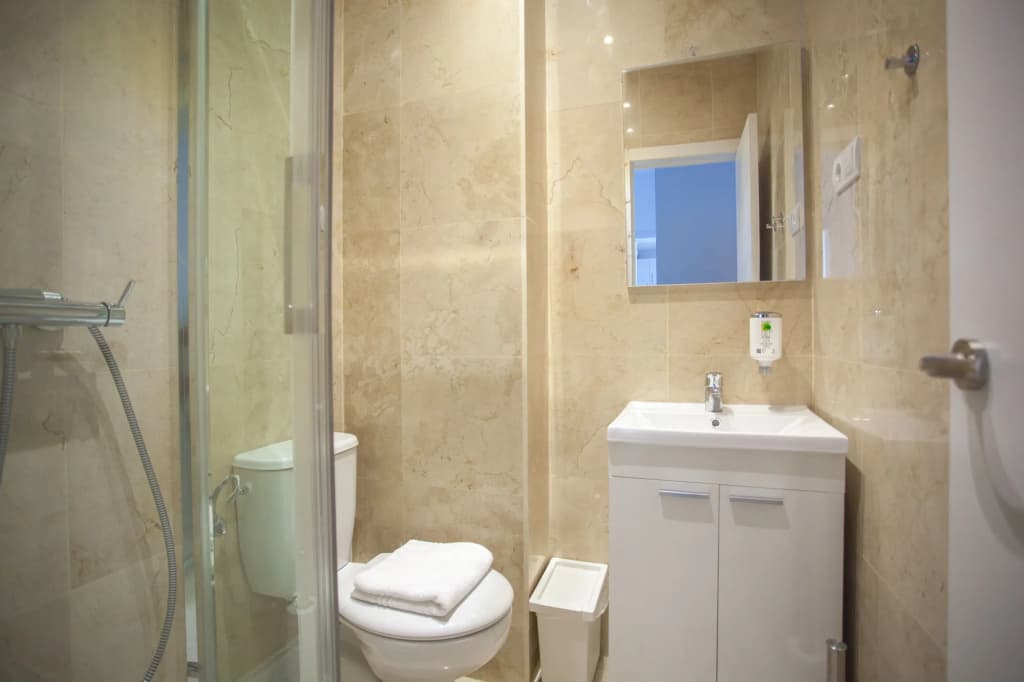 Apartment in Malasaña - photo 7